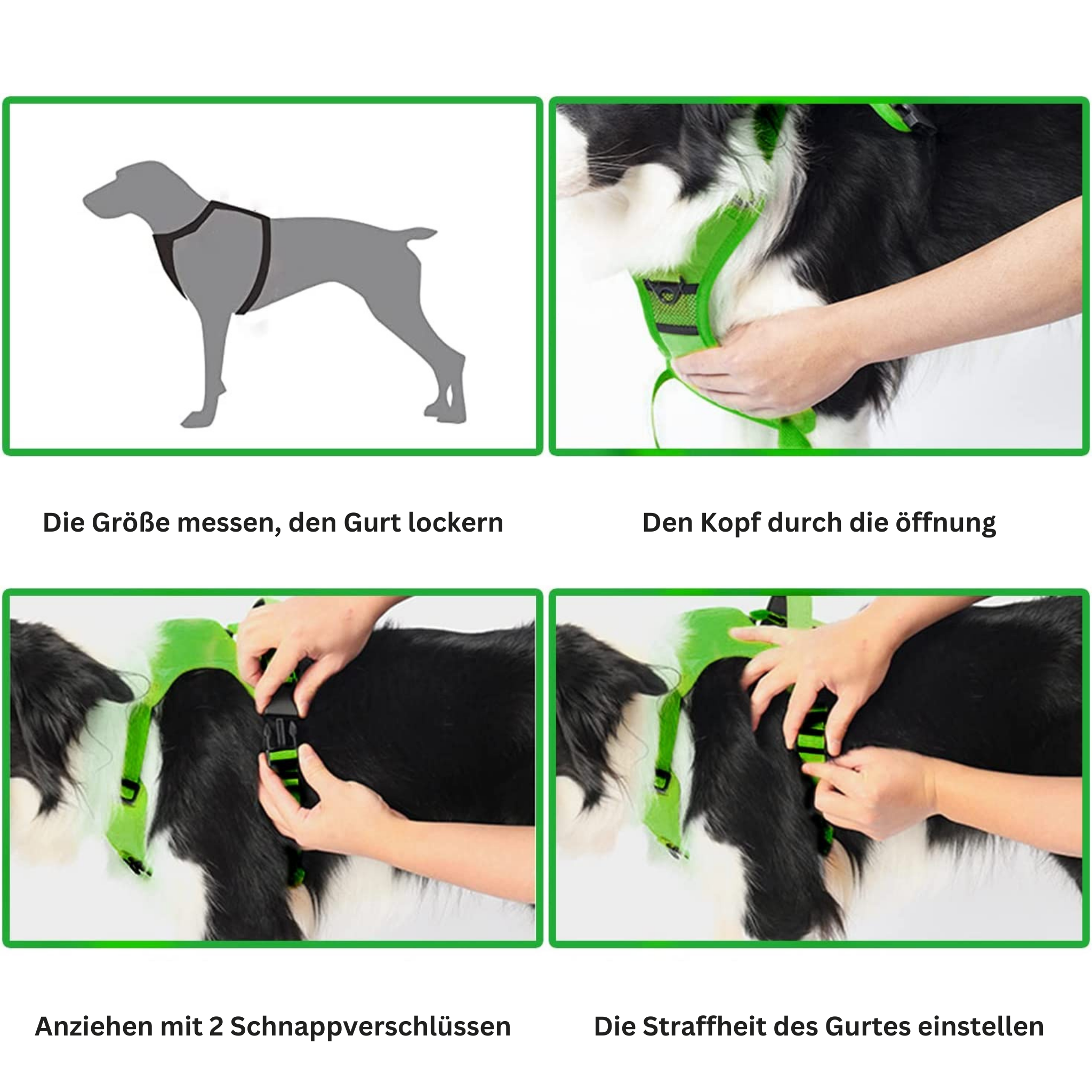2in1 Hundegeschirr & Leine