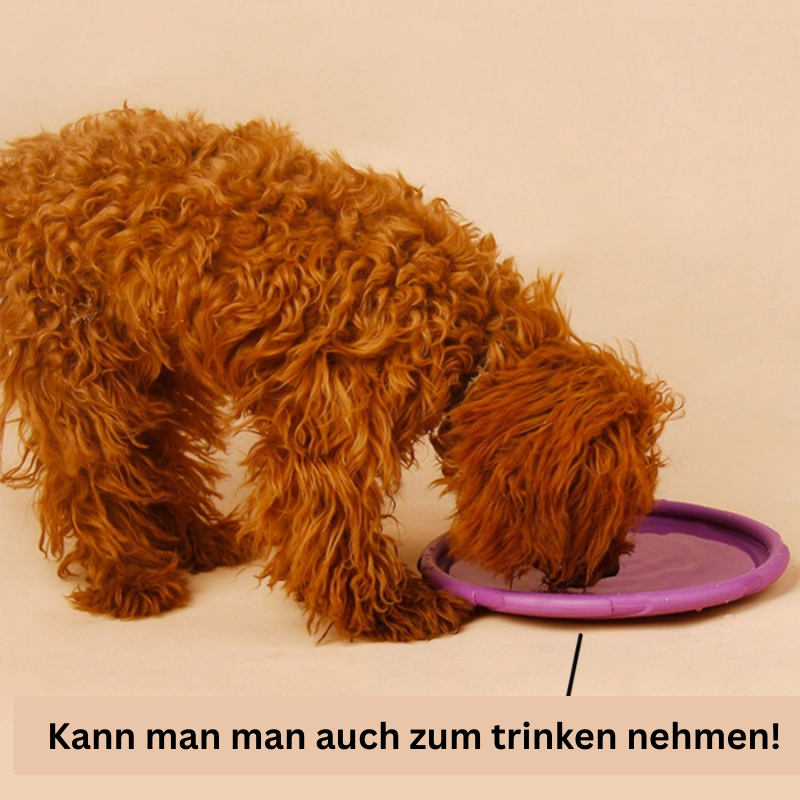 Kauresistentes Gummi-Frisbee