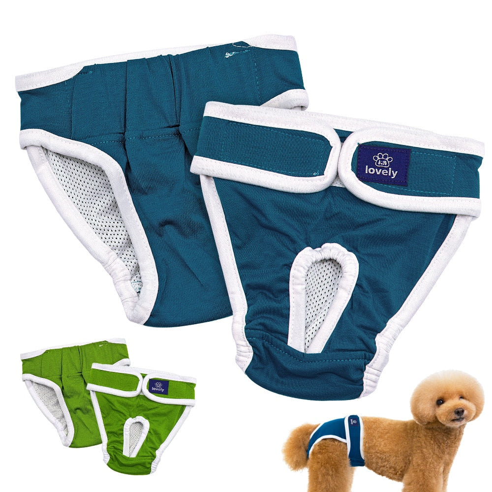 Physiologische Hundewindel
