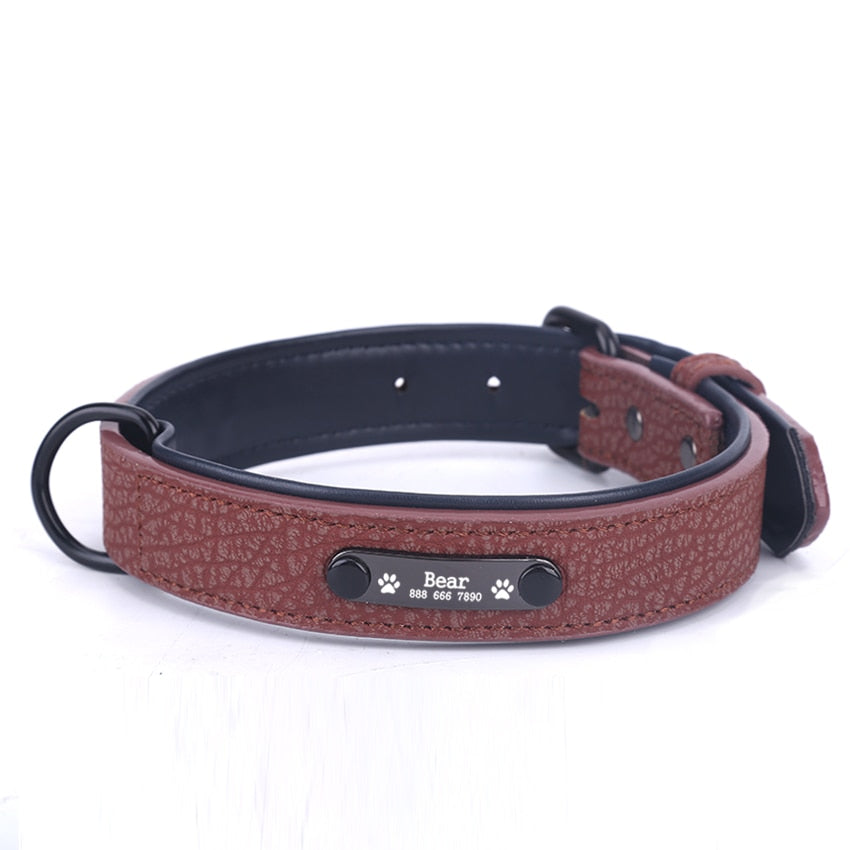 Personalisiertes Halsband
